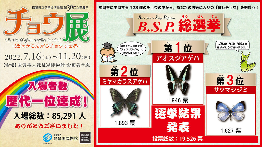 第30回企画展示「チョウ展―近江から広がるチョウの世界―」 が歴代最高来場者達成！ あなたの「推しチョウ」はどれ？滋賀県の人気No.1チョウを選ぶ B.S.P総選挙の結果発表！