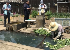 画像1.jpg