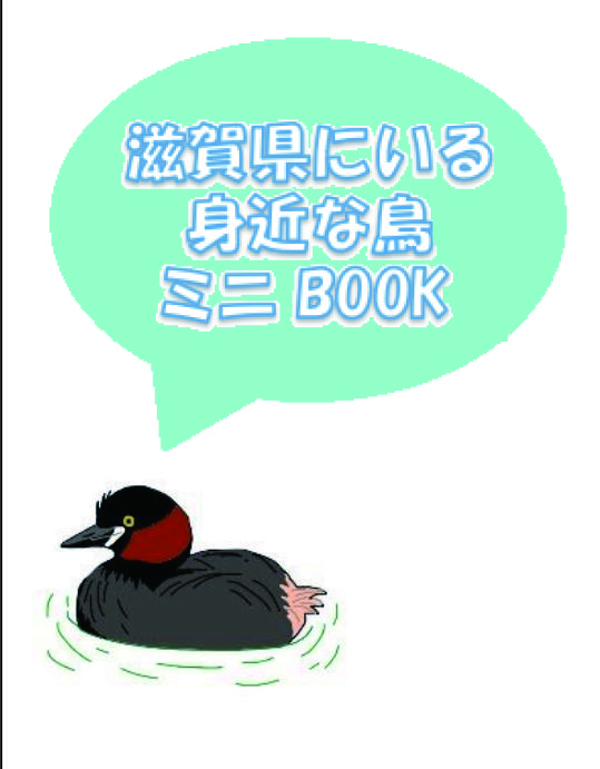 滋賀県にいる身近な鳥ミニBOO