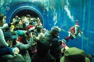 琵琶湖博物館にサンタクロースがやってくる！12 月24 日（金）、25 日（土）クリスマス期間限定イベント開催決定！