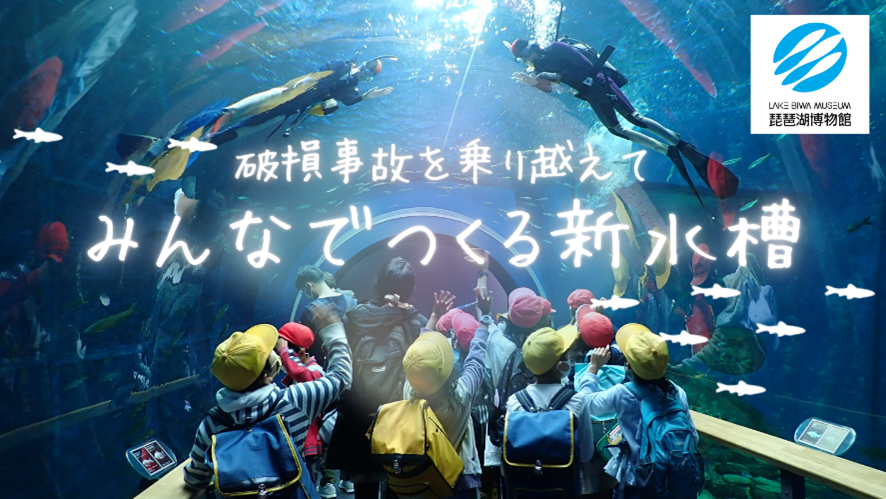  水族展示復活へ！トンネル水槽再生にご支援を クラウドファンディングを11月15日（水）より開始