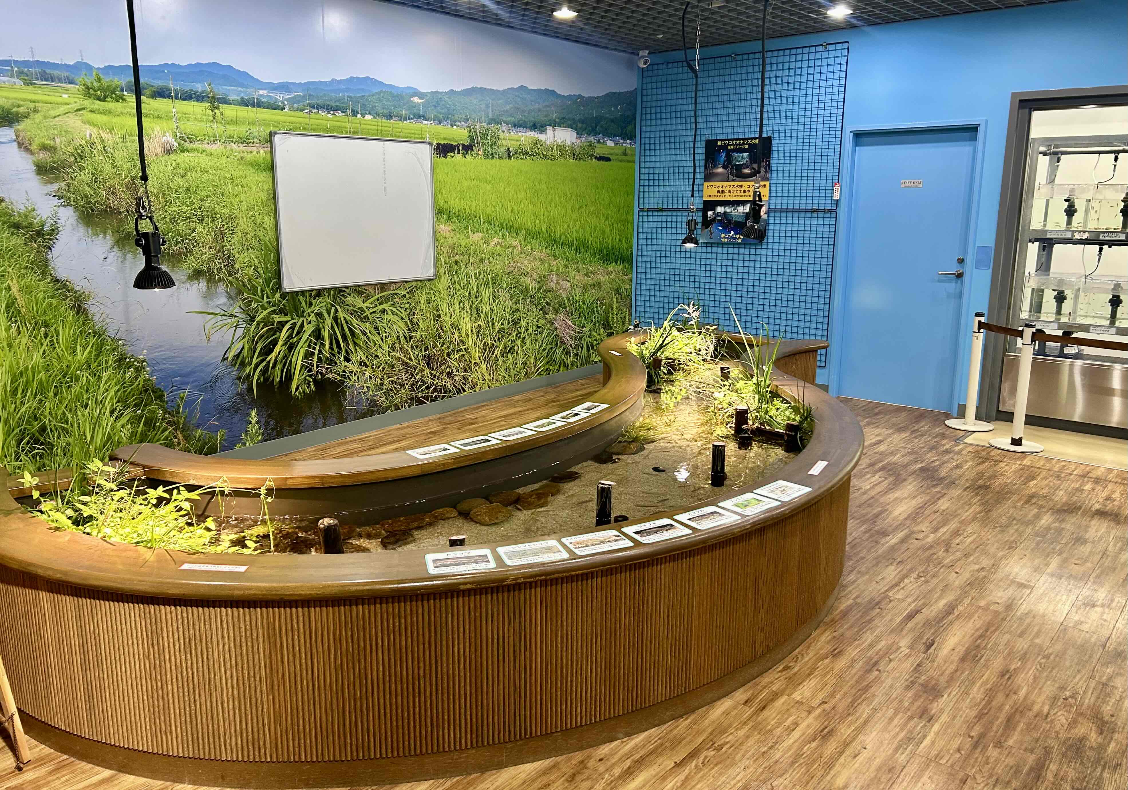 生き物とふれあい、命の大切さを学ぼう 「ふれあい体験室」コーナーでワークショップを実施します