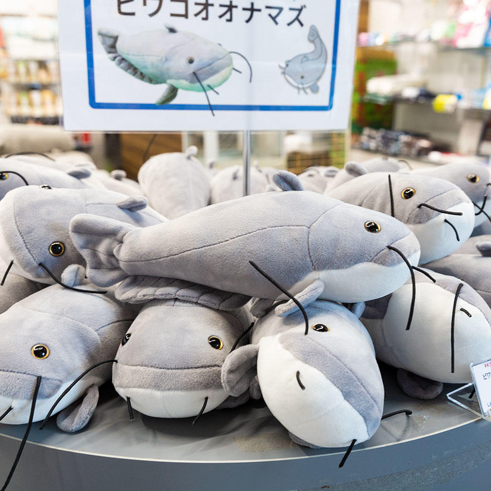 ミュージアムショップ おいでや