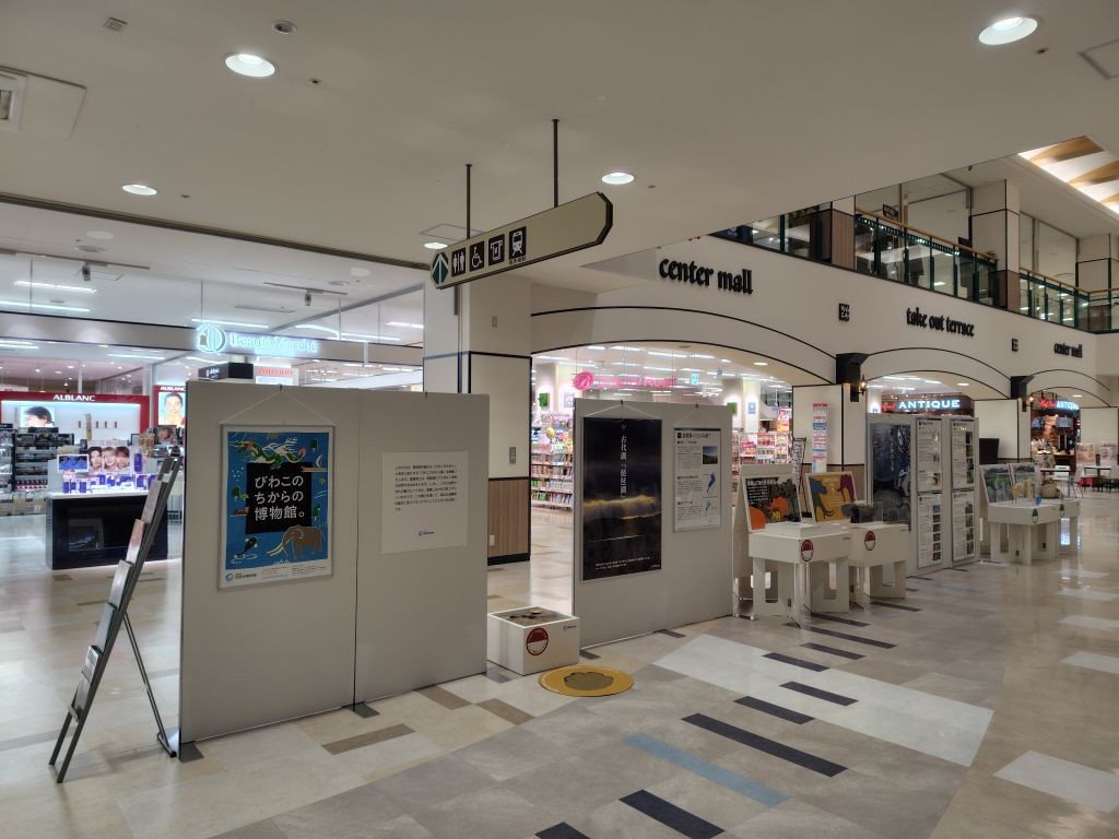 平和堂 今津店にて「びわこのちから展」を開催します！