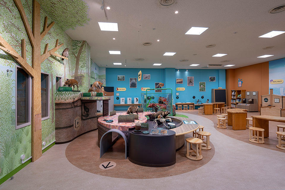 Shiga Prefectural Lake Biwa Museum Discovery Room: Enjoy with All Five Senses
