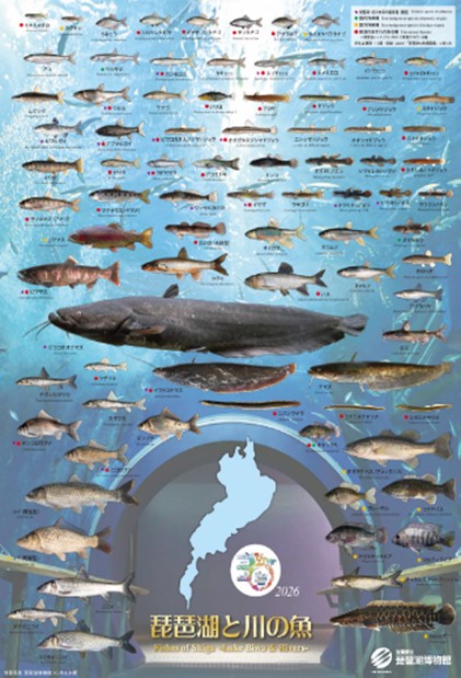 お魚ポスター.jpg
