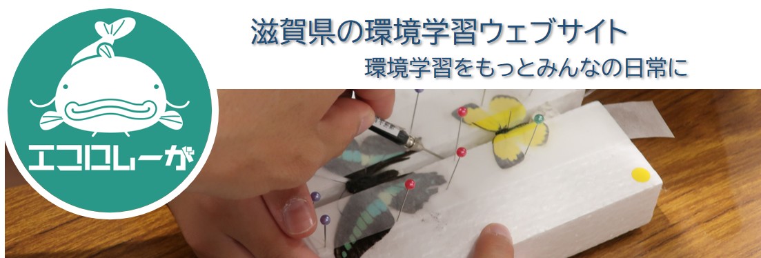 「エコロしーが」で環境学習をはじめてみよう