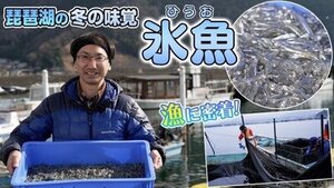 「びわこのちからチャンネル」リニューアルから 約1か月が経ち大好評　再生回数20万回突破！ ～琵琶湖の魅力を伝える企画がぞくぞく 外来植物の危険性を伝える動画も29日公開！～