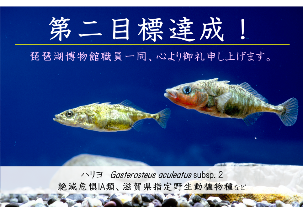 水族展示の復旧に関するクラウドファンディング 第二目標の目標金額 1,000 万円を 66 日間で達成！ ～第三目標として 1,500 万円を目指し挑戦中～