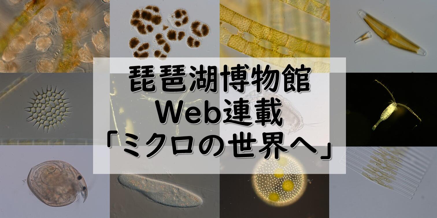 ミクロの世界へ 滋賀県立琵琶湖博物館