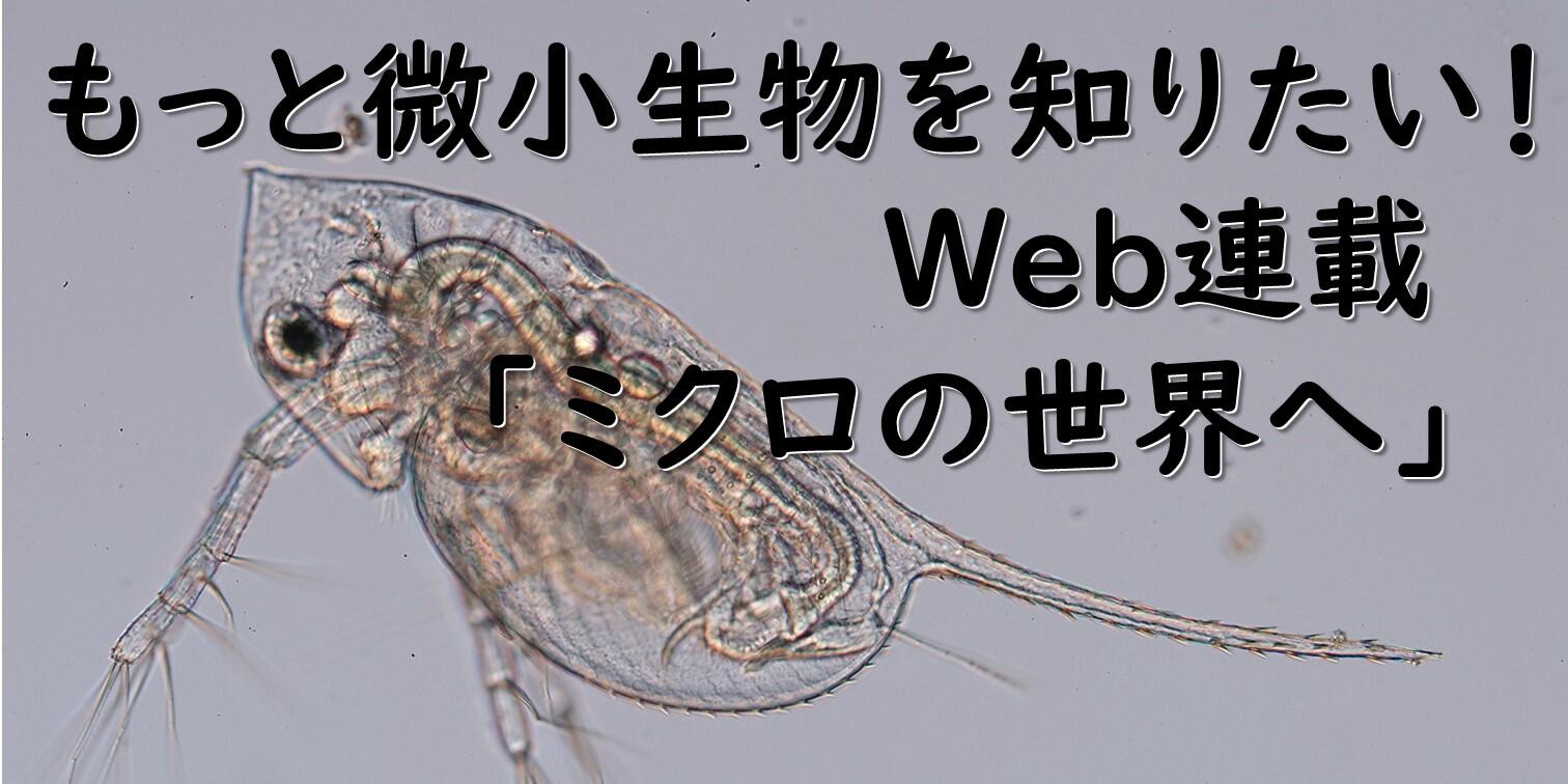 おしらせ　ウェブ連載ミクロの世界への紹介です。クリックするとそのページに移動します。