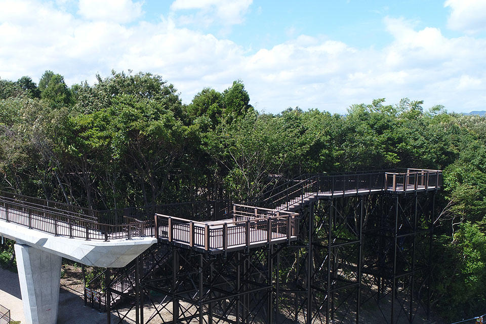 Shiga Prefectural Lake Biwa Museum Walking the Canopy Trail to Explore the Outdoor Exhibits